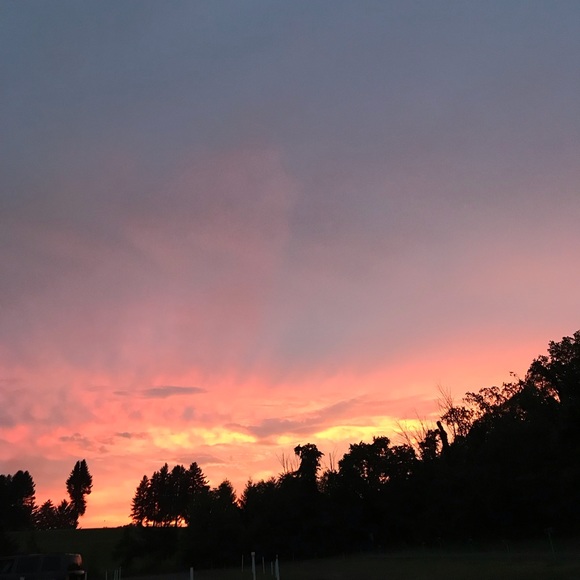 Meet your Posher, Alexis - Picture 1 of 1